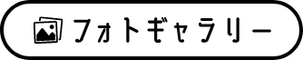 フォトギャラリー