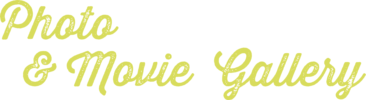 フォト＆ムービーギャラリー