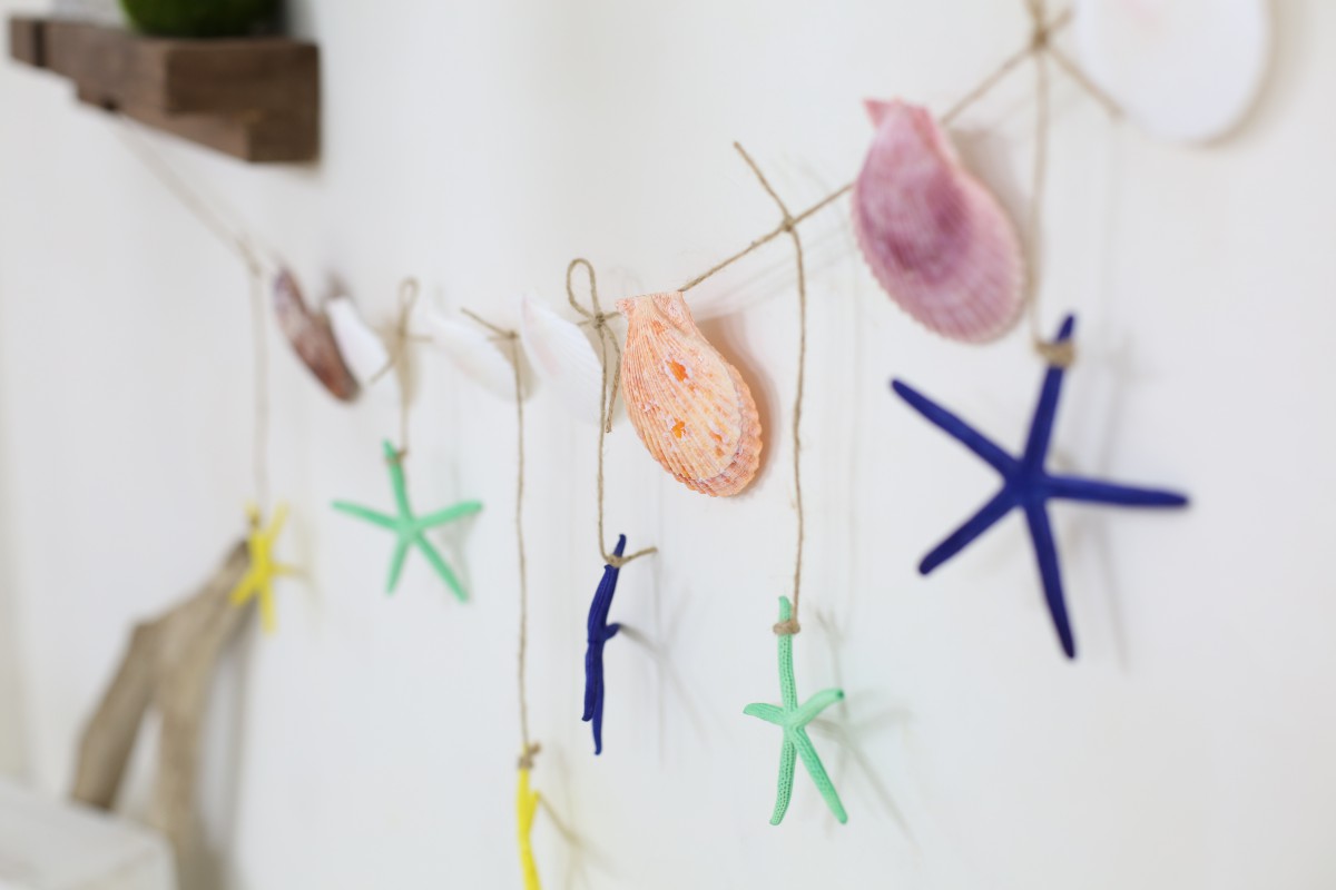 ◆スタジオプチリニューアル・8月末まで限定です◆