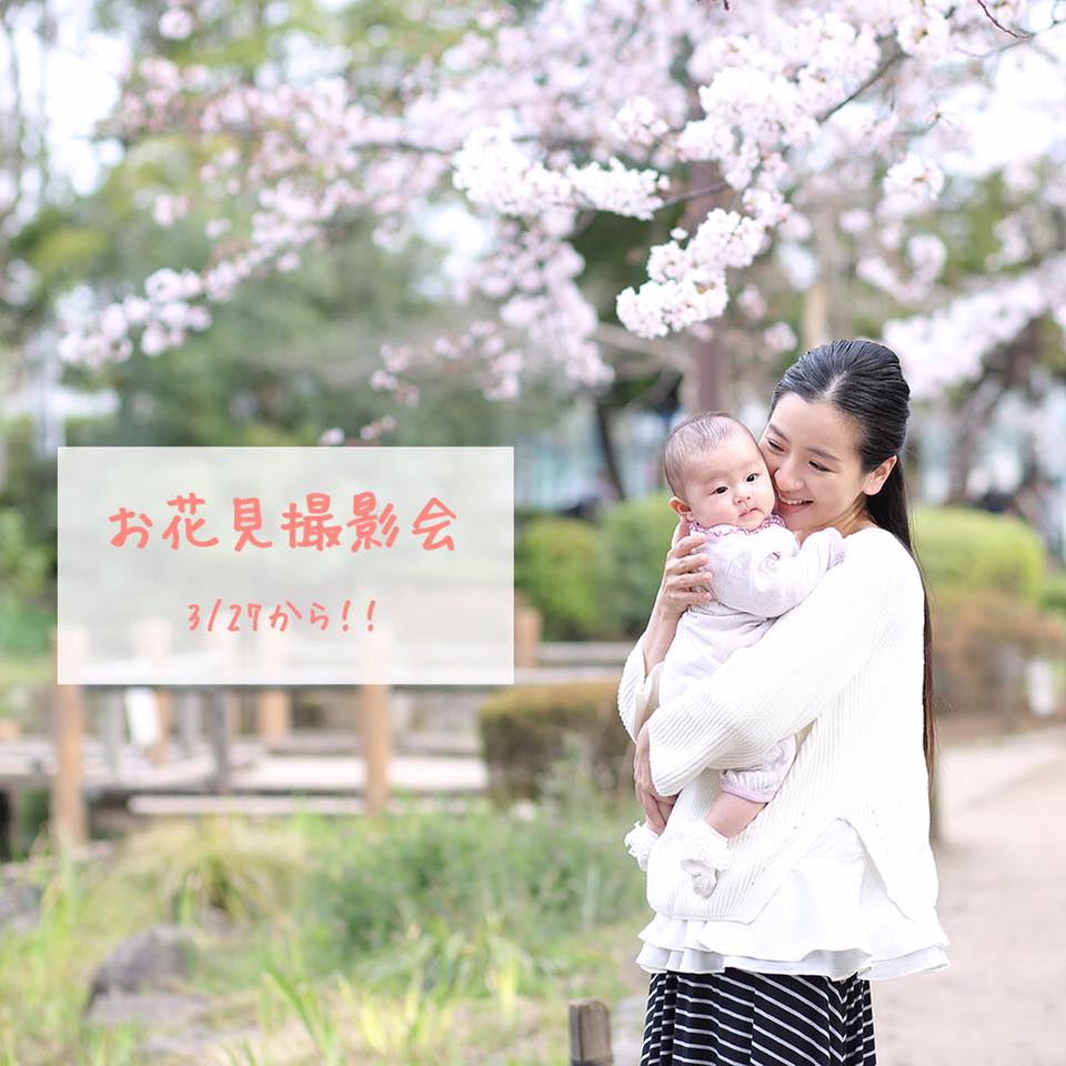 ◆春を楽しむ企画、もいっこ追加です！◆