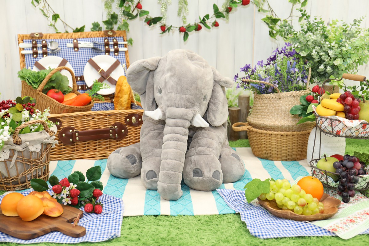 ◆6/6川口＆MAMACOフェスタ◆