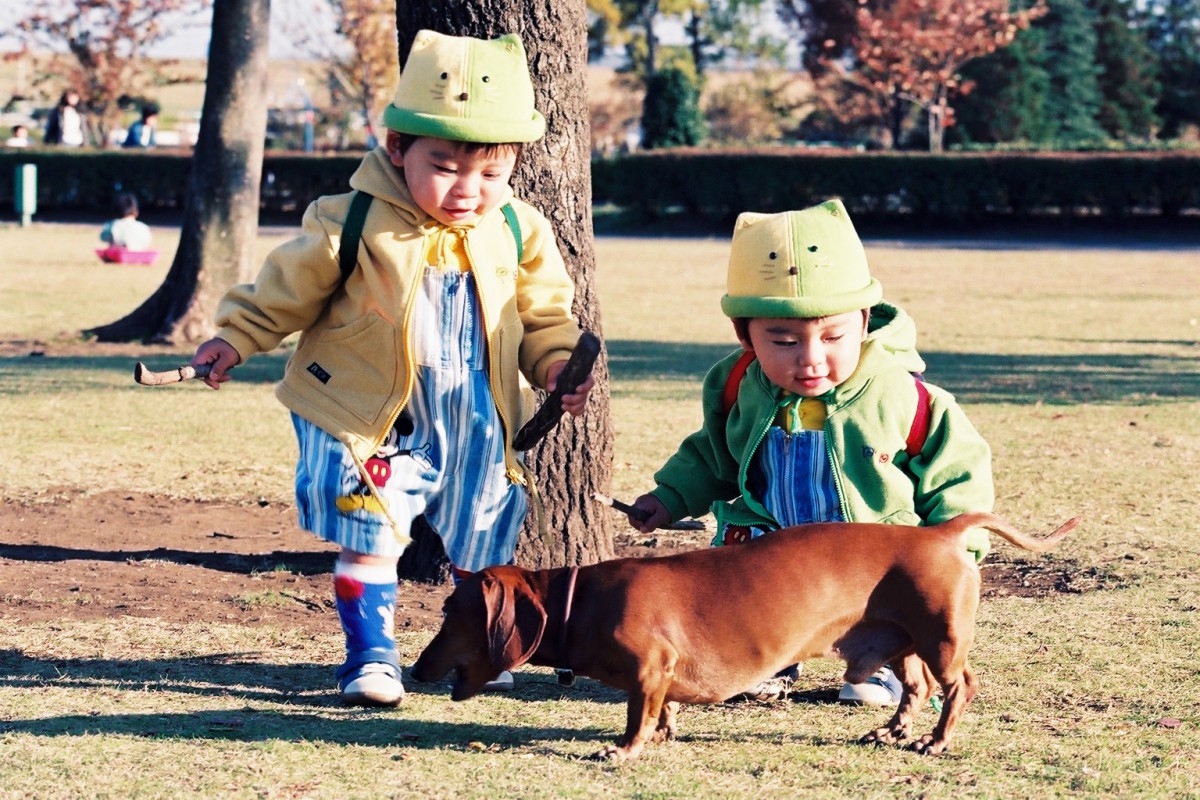 写真データをバックアップしていますか？　その１