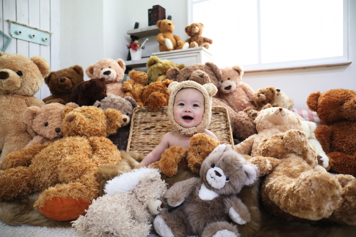 くまちゃん撮影会・次は8月6・7日！