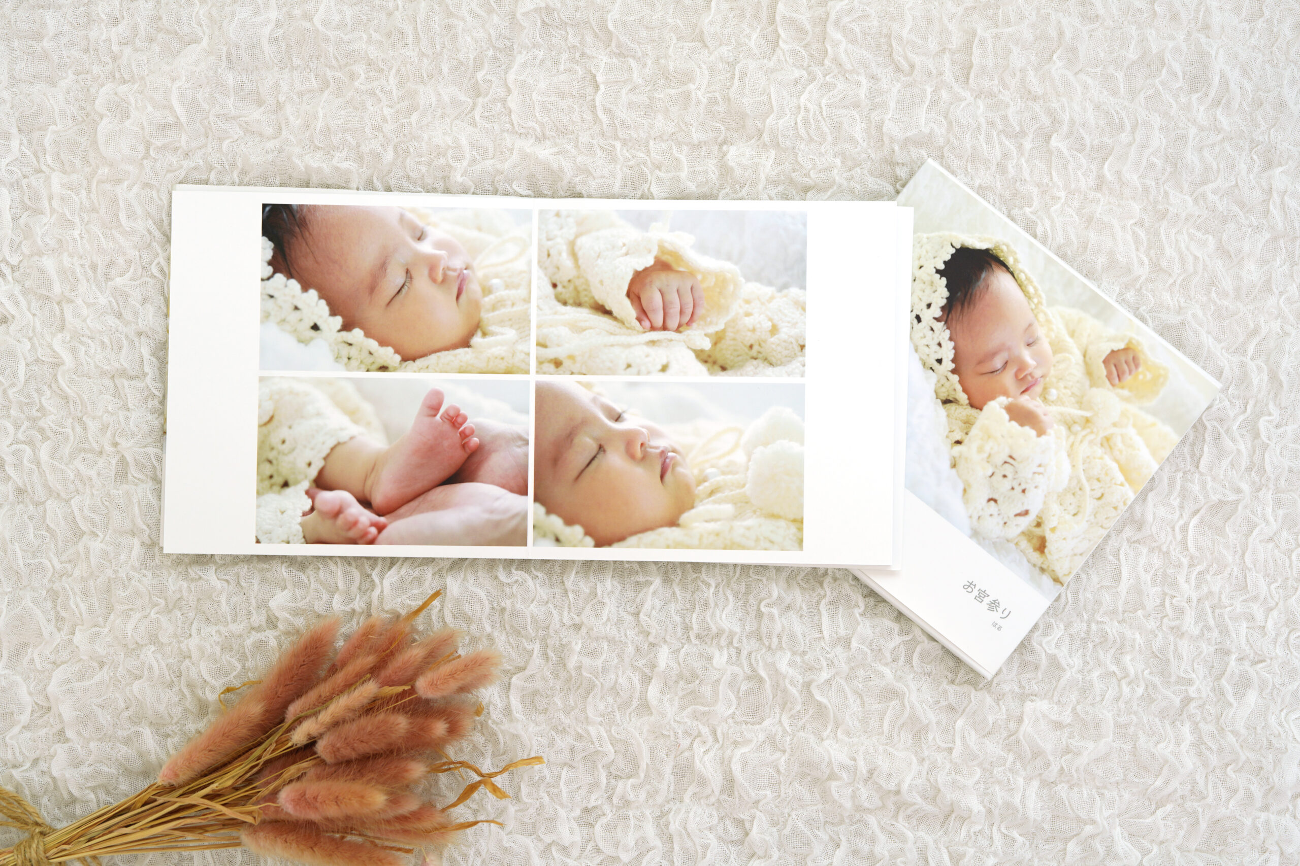 アルバム　フォリオ