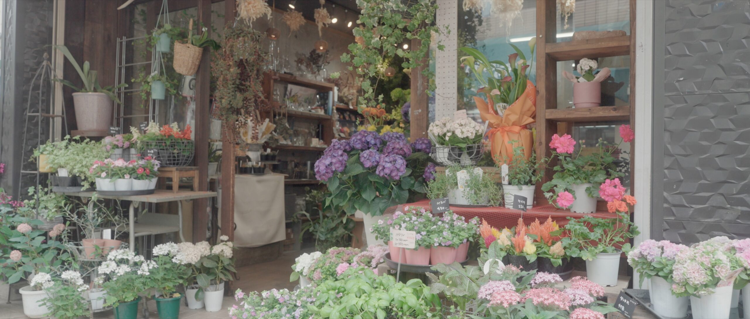 南浦和で見つけた、花と暮らす幸せ ― フラワーショップ アールグレイさんをご紹介
