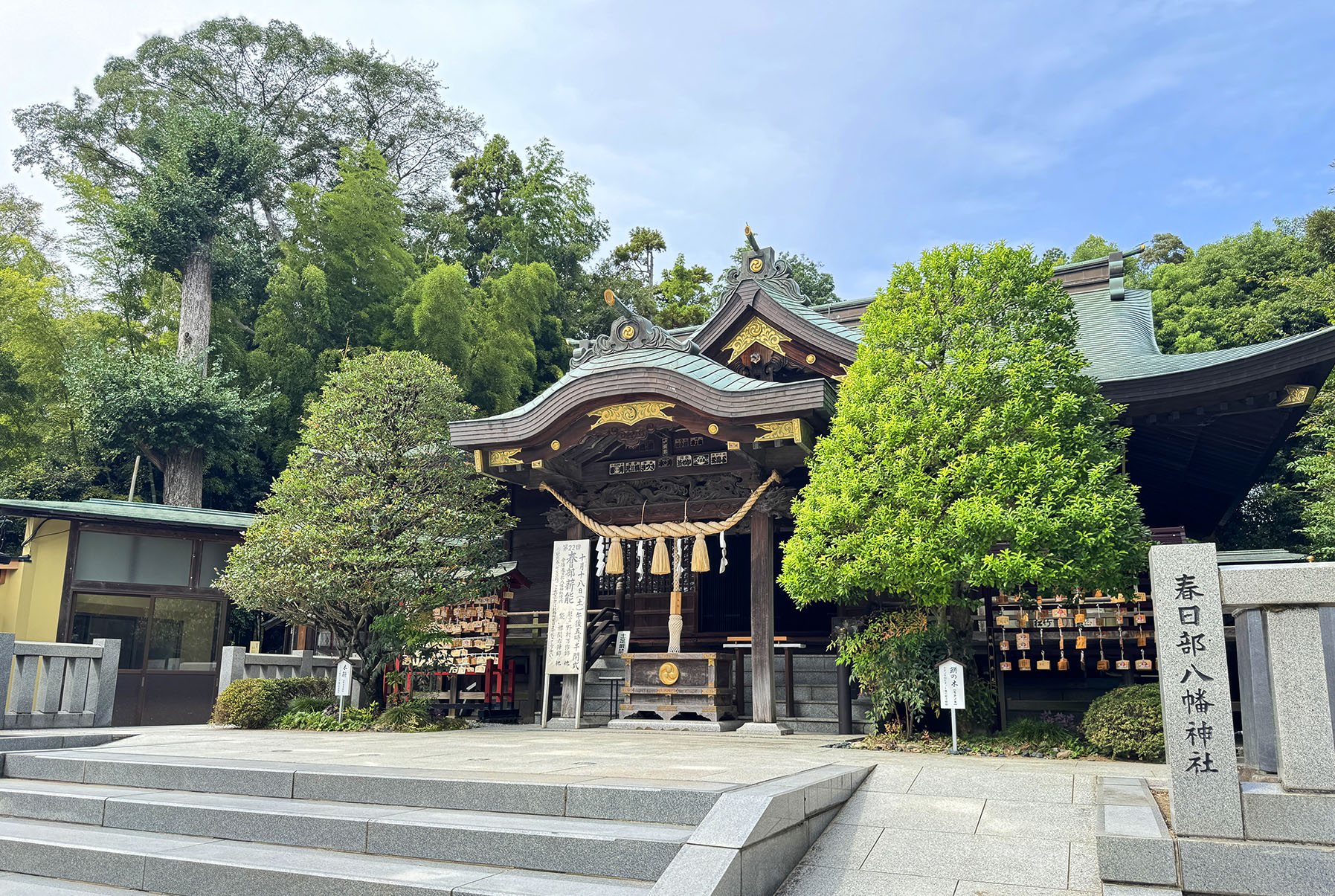 【春日部八幡神社】安産・長寿・勝運！春日部総鎮守でパワーをいただく方法とフォトジェニックな見どころ