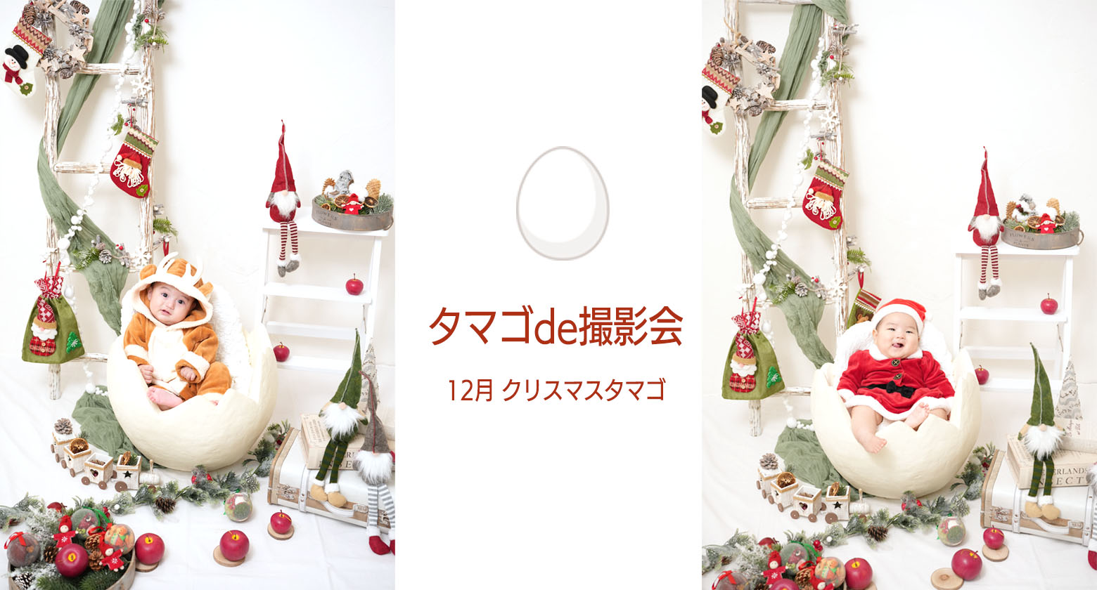 【赤ちゃん撮影会】 12月タマゴde撮影会